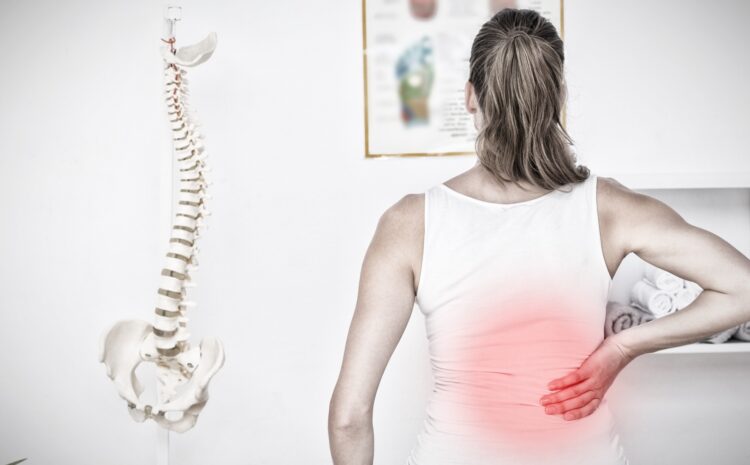  Effective Back Pain Relief in Shreveport Through Chiropractic Care