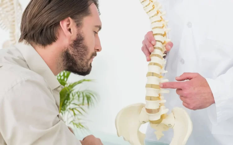  Why Shreveport Chiropractors Are Key to Long-Term Pain Relief