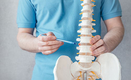  Understanding Value and Care: A Guide to Chiropractor Prices in Shreveport